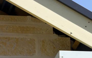 soffit repair Scriven